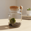 Marimo Moss Ball Black Tourmaline Terrarium Complete Gift Set