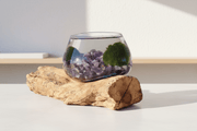 Amethyst Hand Blown Driftwood Aquarium