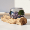 Amethyst Hand Blown Driftwood Aquarium