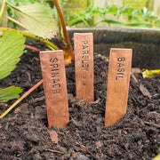 Set Of 3 Personalised Copper Plant Markers Stakes Pick Your Own