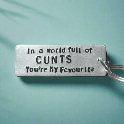 In A World Full of Cunts