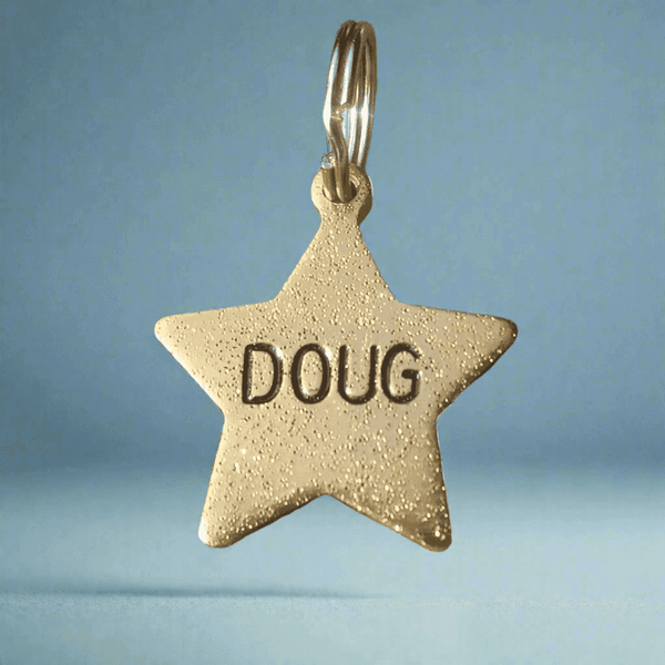 Dog Tag Gold Star Personalised ID Disc Dog Tag Kitten Name Number