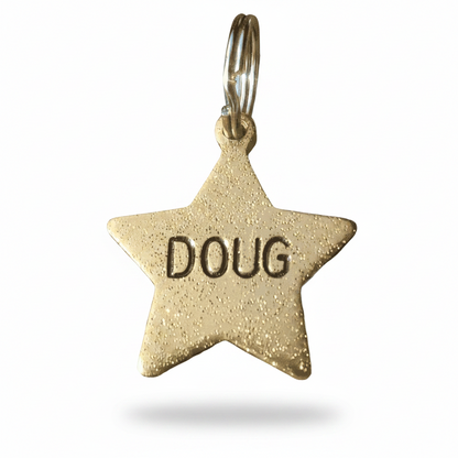 Dog Tag Gold Star Personalised ID Disc Dog Tag Kitten Name Number