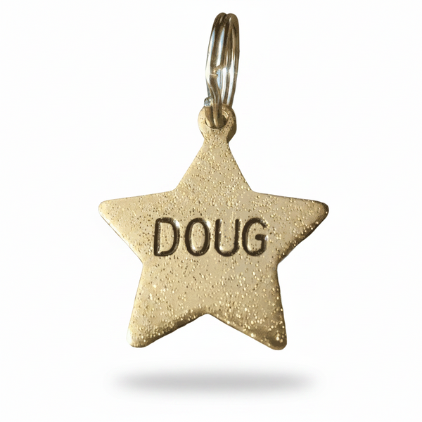 Dog Tag Gold Star Personalised ID Disc Dog Tag Kitten Name Number