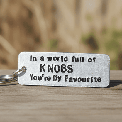 In A World Full of KNOBS You're My FAVOURITE Funny Gifts Keychain