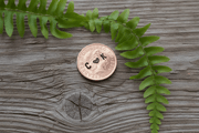  Copper Anniversary Gift Hand Stamped Lucky penny