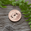 Lucky Penny