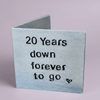 20th Anniversary 