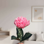 Forever Flower Hot Pink Carnation