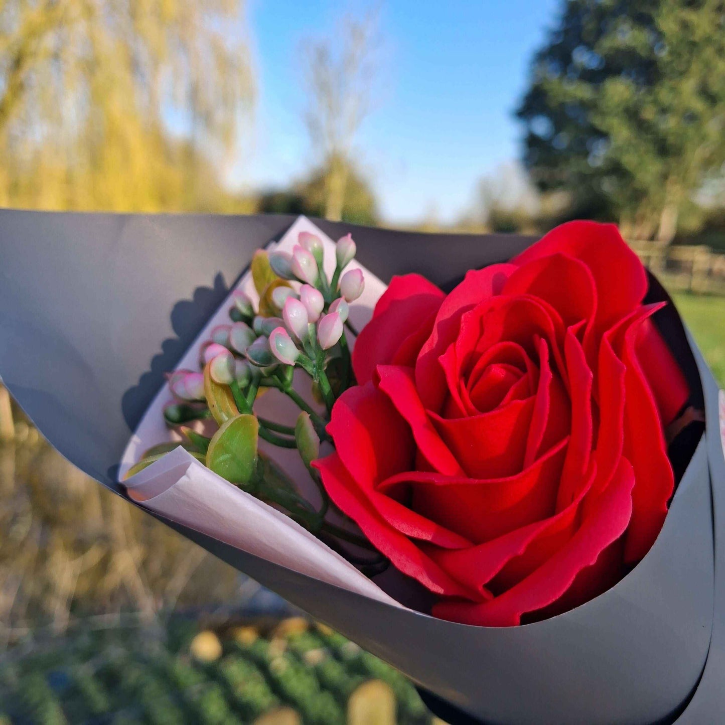 Forever Rose