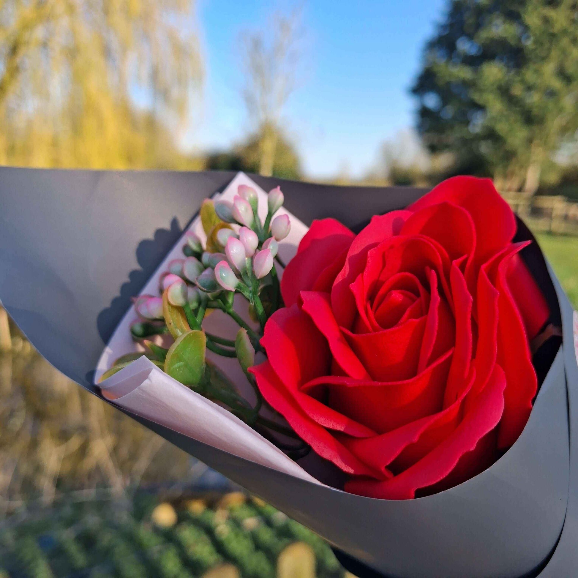 Forever Rose
