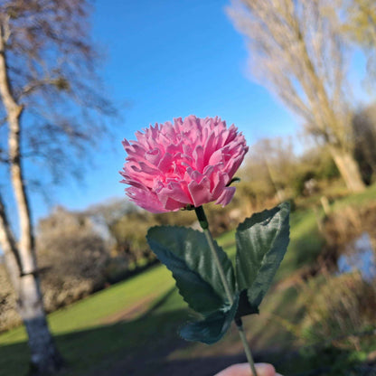 Forever Flower Hot Pink Carnation