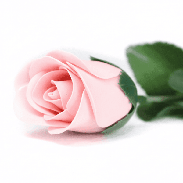Forever Rose