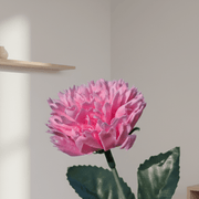 Forever Flower Hot Pink Carnation