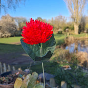 Forever Flower Red Carnation Faux Single 28cm