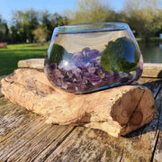 Hand Blown Driftwood Aquarium Marimo Moss Ball Amethyst Terrarium Gift Centrepiece