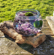 Choose Your Favourite Gemstone Driftwood Aquarium Marimo Moss Ball Centrepiece