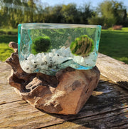 Hand Blown Driftwood Moonstone Aquarium Marimo Moss Ball Terrarium Gift