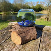 Lapis Lazuli Hand Blown Driftwood Aquarium Marimo Moss Ball Terrarium Gift Centrepiece
