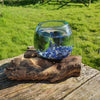 Lapis Lazuli Hand Blown Driftwood Aquarium Marimo Moss Ball Terrarium Gift Centrepiece