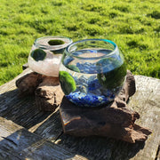 Lapis Lazuli Hand Blown Driftwood Aquarium Marimo Moss Ball Terrarium Gift Centrepiece