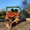 Carnelian Hand Blown Driftwood Aquarium Marimo Moss Ball Terrarium Gift