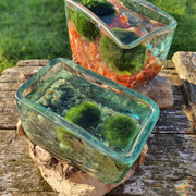 Moss Agate Hand Blown Cube Driftwood Aquarium Marimo Moss Ball Terrarium Gift 