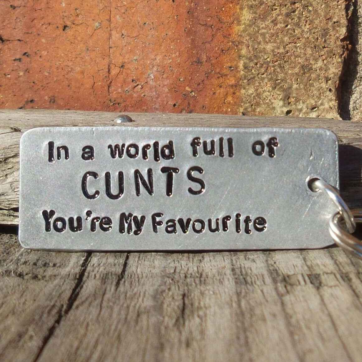 In A World Full of Cunts