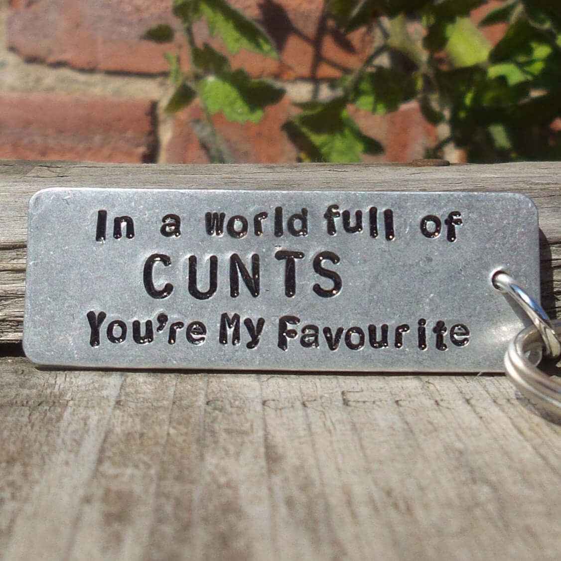 In A World Full of Cunts