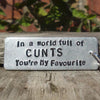 In a world full of cunts you're my favourite keychain keyring