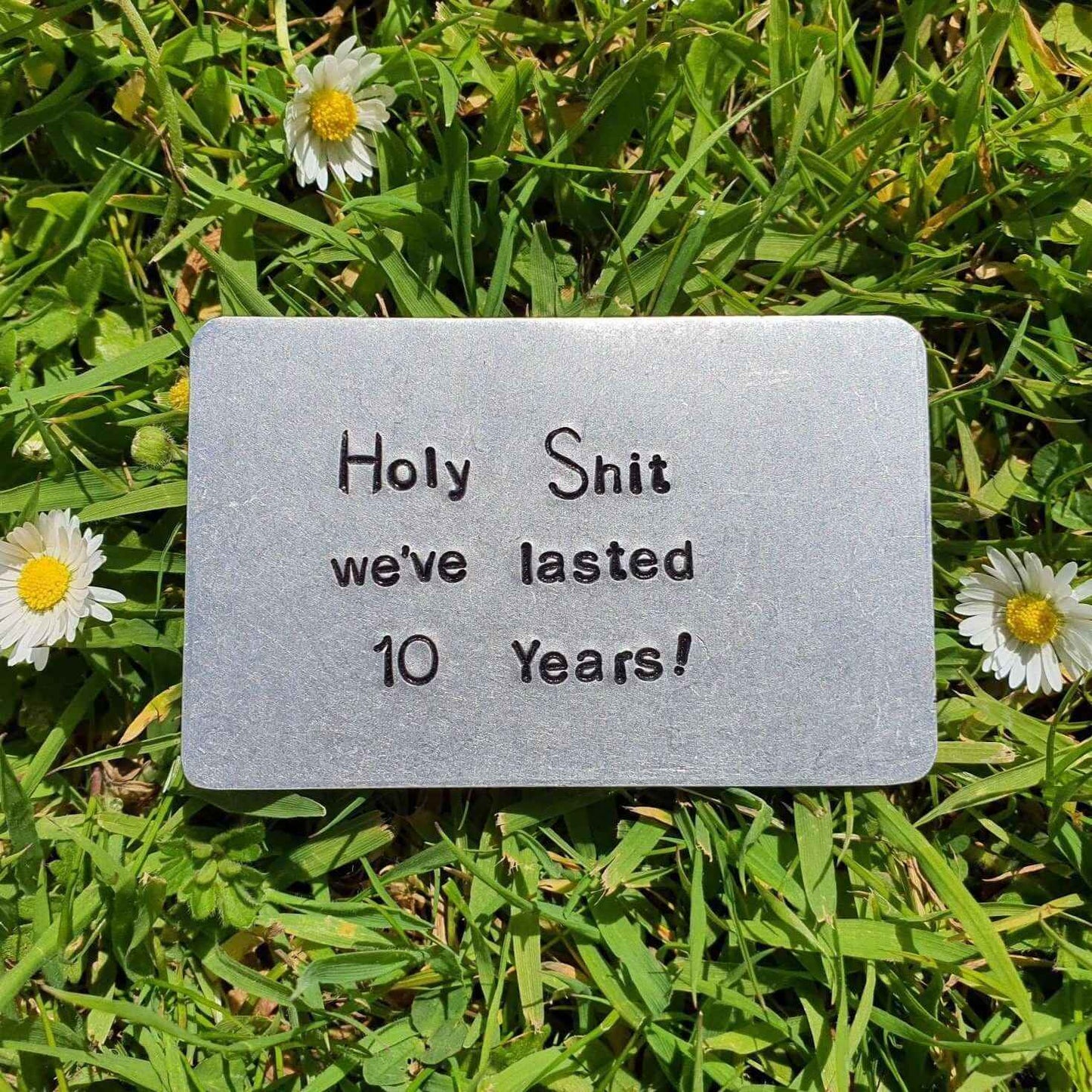 10th Wedding Anniversary Gifts Aluminium and Tin Gift Holy Shit We've Lasted